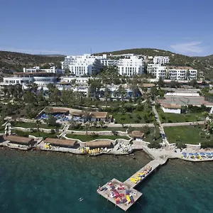 Hotel & *****